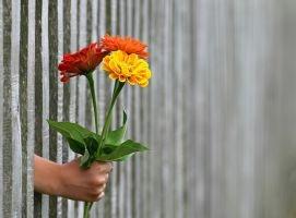 Jemand reicht durch einen Lattenzaun einen Blumenstrauß, der zeigt, dass Liebe im Alltag bewahrt werden kann.